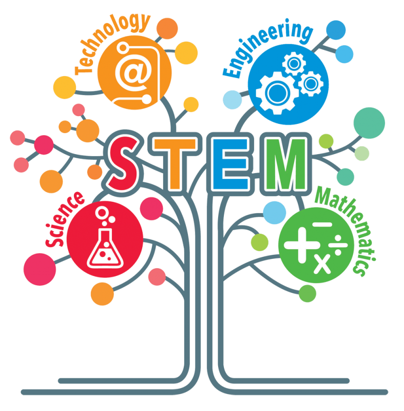 STEM là gì? Tìm hiểu ý nghĩa và ứng dụng của STEM